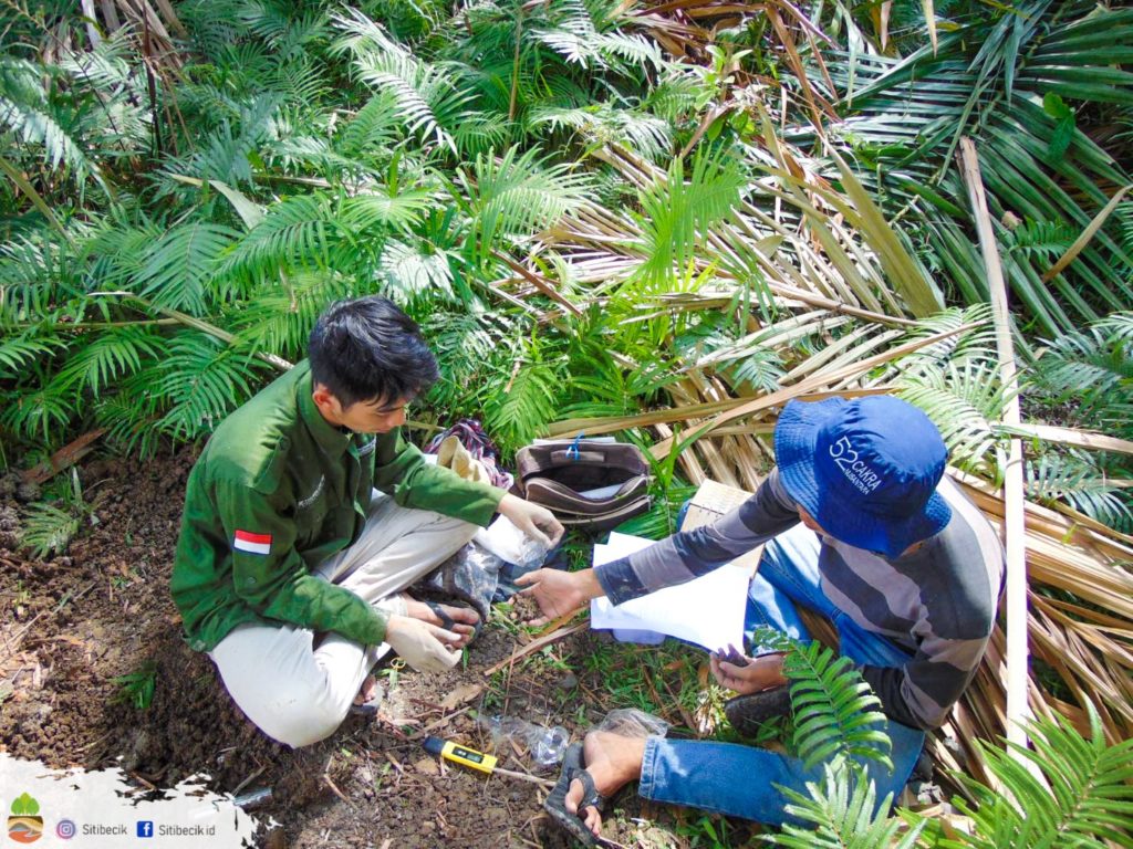 Kegiatan klasifikasi tanah oleh surveyor tanah di daerah Gorontalo, Indonesia