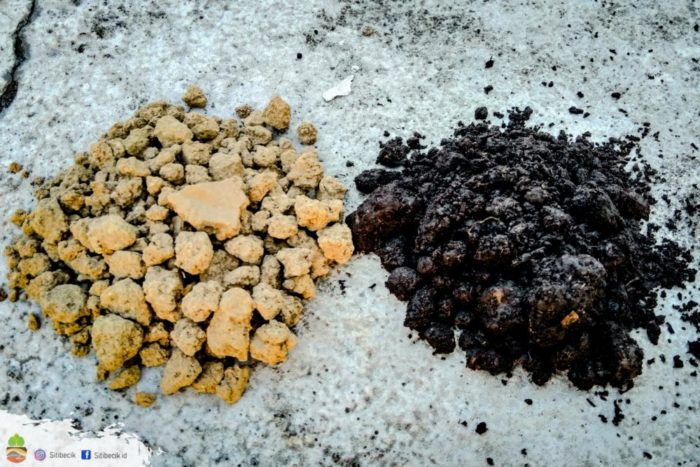 Tanah mineral dan organik, apa bedanya? #soilscience