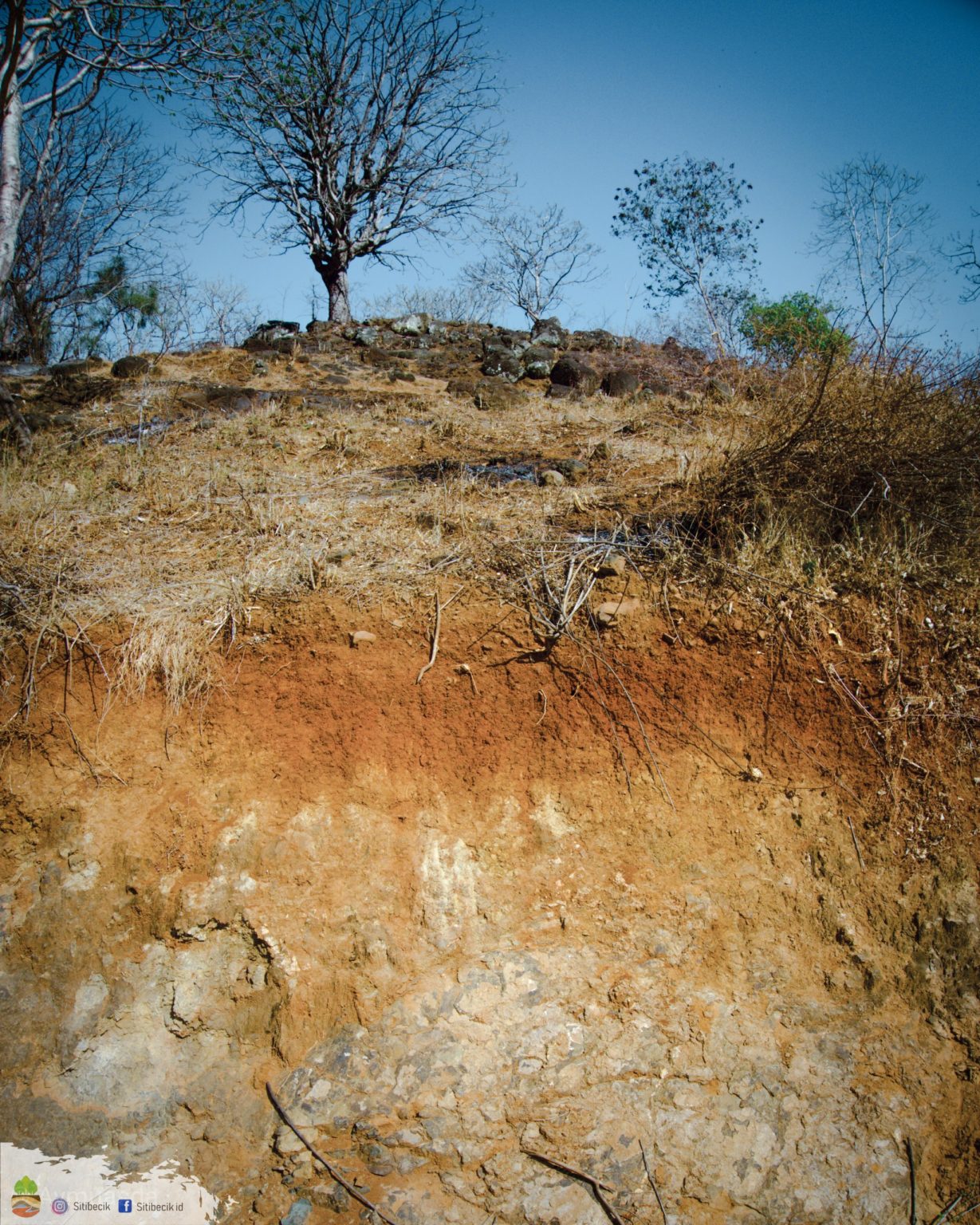 Belajar Klasifikasi Tanah Seri 7 Lithic Ustorthents ...