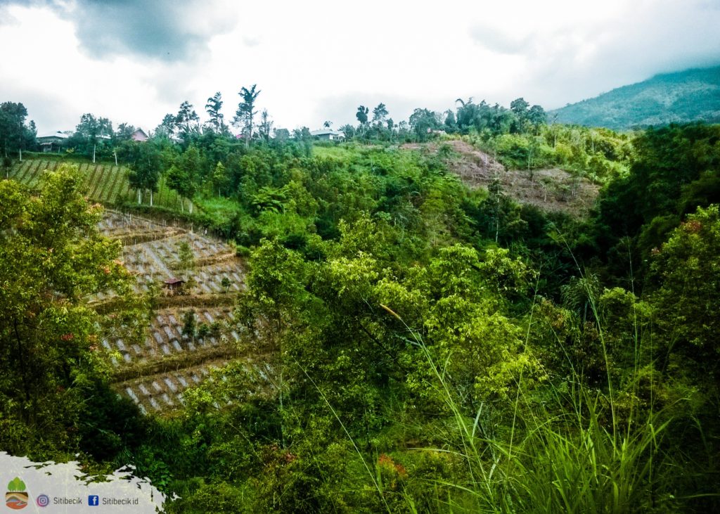 Tanah longsor indonesia