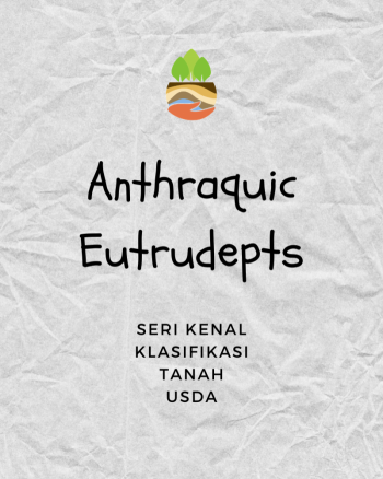 Anthraquic Eutrudepts