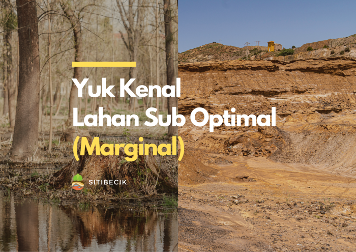 Yuk Kenal Lahan Sub Optimal (Lahan Marginal)