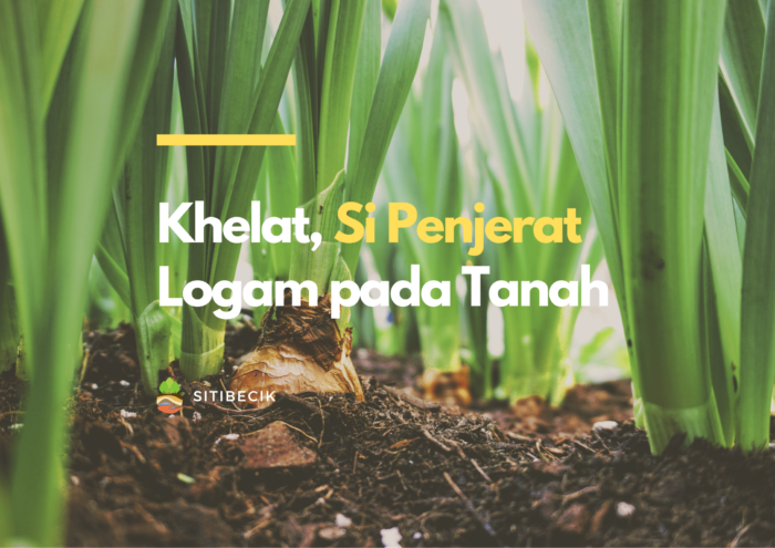 Khelat, Si Penjerat Logam pada Tanah