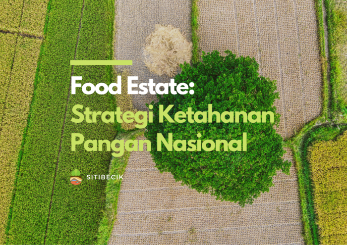 Food Estate: Strategi Ketahanan Pangan Nasional